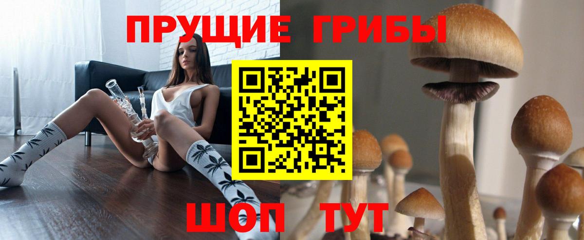 Галлюциногенные грибы Cubensis  как найти   Касимов  Вход с VPN 